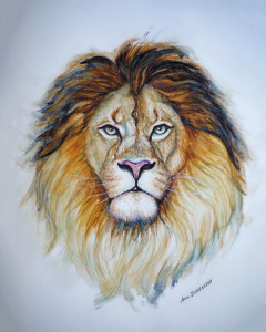 Lion by Anna IOURENKOVA